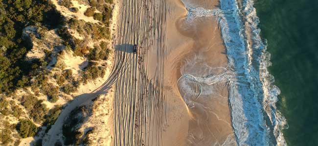 aerial of beach with 4wd drive tracks