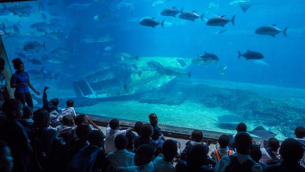 Ushaka Aquarium, Durban