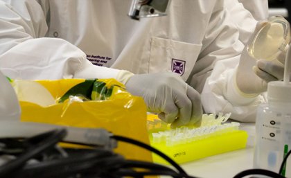 laboratory testing at the University of Queensland