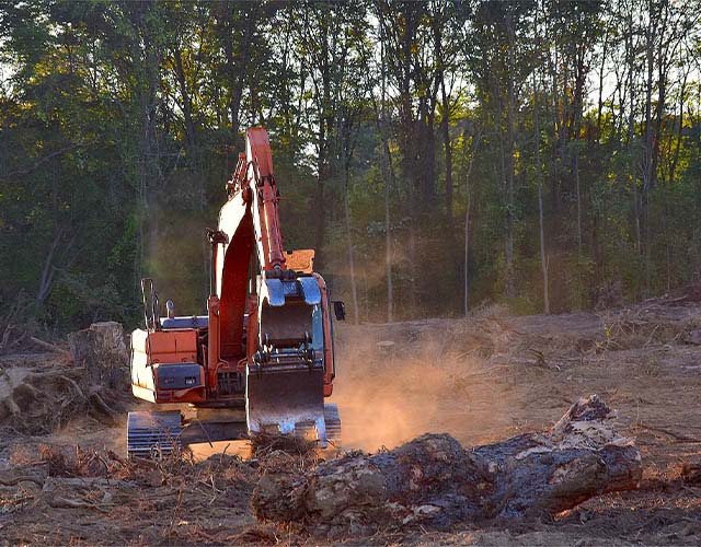 trees being ripped up my a machine.