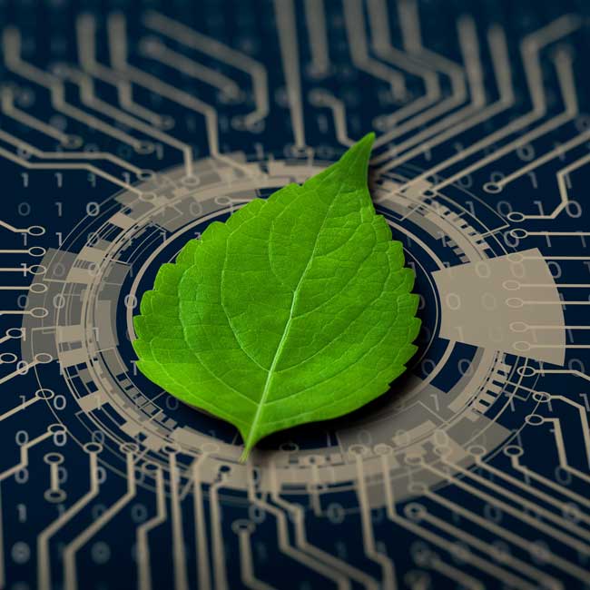 leaf on computer motherboard