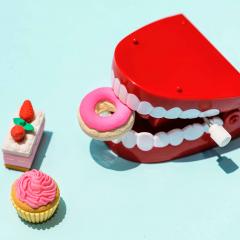 Dental model sitting next to desserts