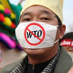 This is an image of a man wearing an anti-WTO mask