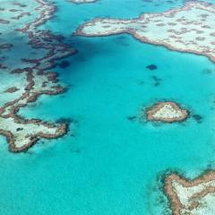 aerial view of the Great Barrier Reef