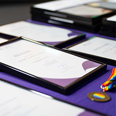 Image of award certificates and a medal