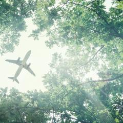 Plane flying over green bush 